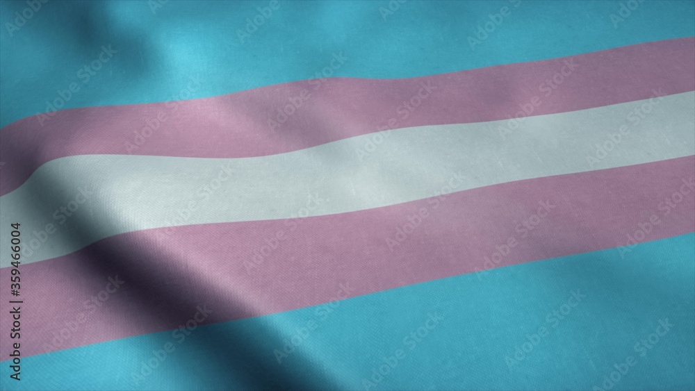Transgender pride community flag, LGBT symbol. Sexual minorities identity. 3d rendering Transgender pride community flag, LGBT symbol. Sexual minorities identity. 3d rendering
