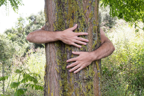 Hands hug a beautiful tree in the forest