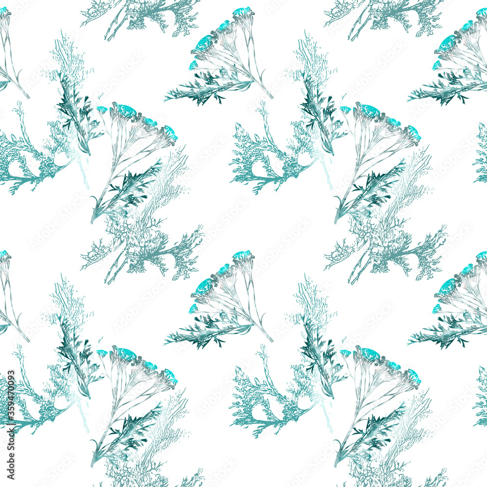 Fototapeta premium Field and curry plant, seamless pattern.