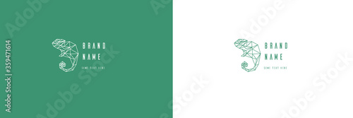 vector illustration of abstract background with lines., chameleon, lizard elegant, perfect for creating logos, corporate identity, printing on fabric and posters