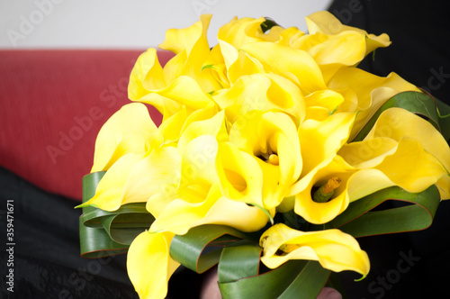 buque amarelo copo de leite