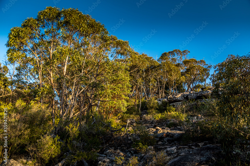 Fototapeta premium Hiking paths in the Grampians National Park in Victoria, Australia.