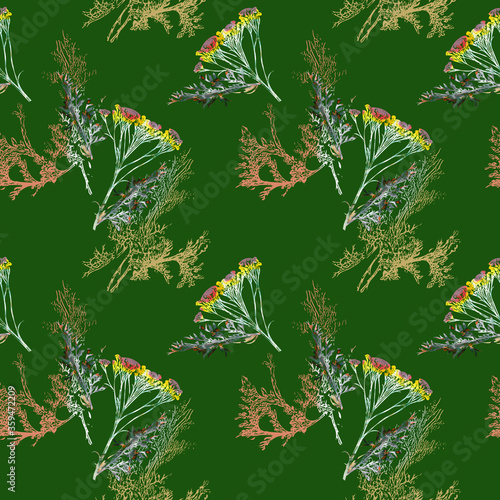 Field and curry plant, seamless pattern.