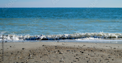 Along the Shore
