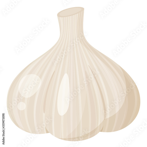 ニンニクのイラスト