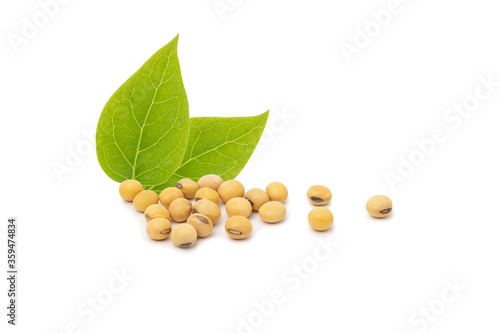 Soybean with leaf isolated on white background.