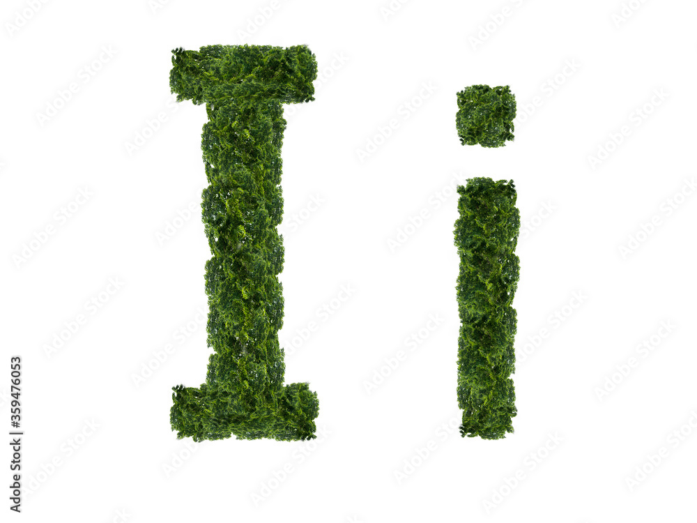 A letter made from the crown of a tree from the English alphabet. Isolated on a white background. Uppercase and lowercase letters I and i. One of a series of illustrations. A letter made from the crown of a tree from the English alphabet. Isolated on a white background. Uppercase and lowercase letters I and i. One of a series of illustrations.