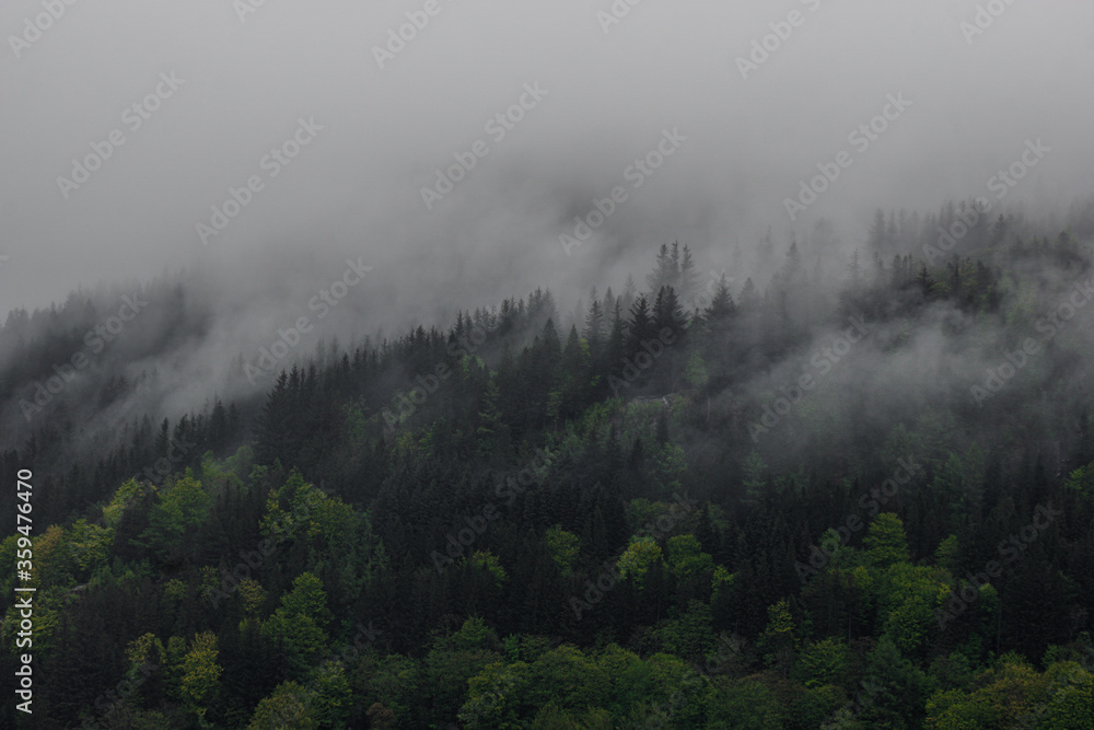 fog in the mountains