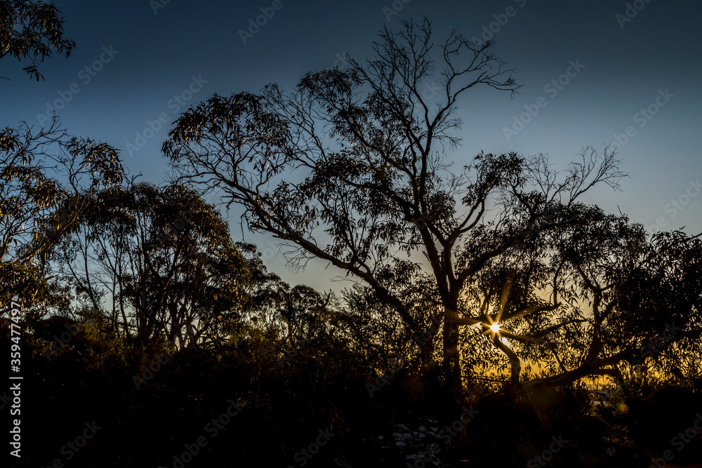 Sunset at a hiking path in the Grampians National Park in Victoria, Australia. Sunset at a hiking path in the Grampians National Park in Victoria, Australia.
