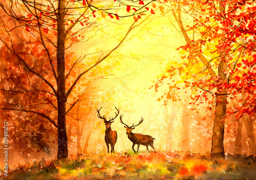 Watercolor Painting - Deer in Autumn forest