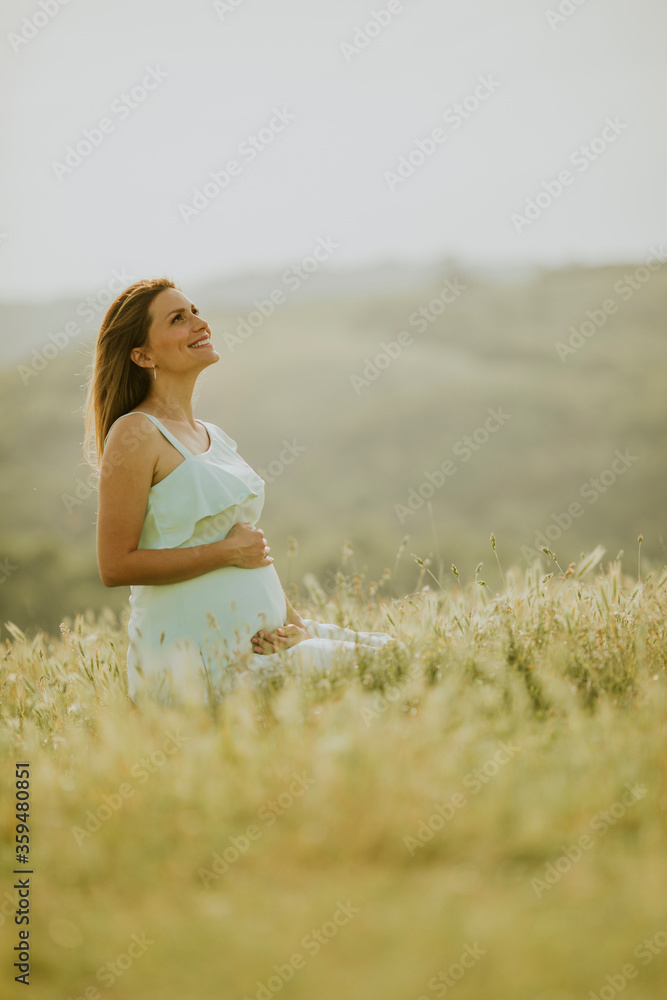 Young pregnant woman in the field Young pregnant woman in the field