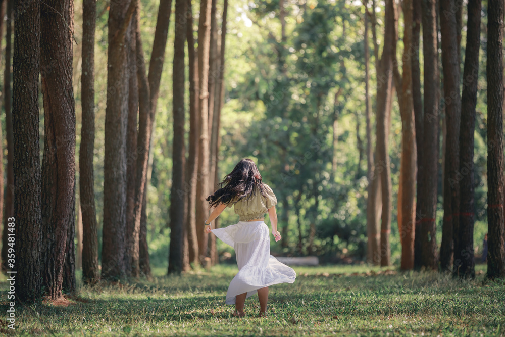 women asian girl walking in the natural park pine forest alone nature people concept. women asian girl walking in the natural park pine forest alone nature people concept.