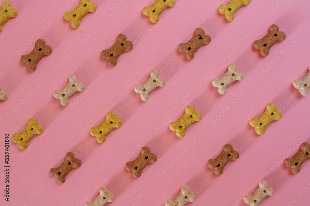 Dog snack biscuits bone shaped cookie in a pink background for dogs and pets Dog snack biscuits bone shaped cookie in a pink background for dogs and pets
