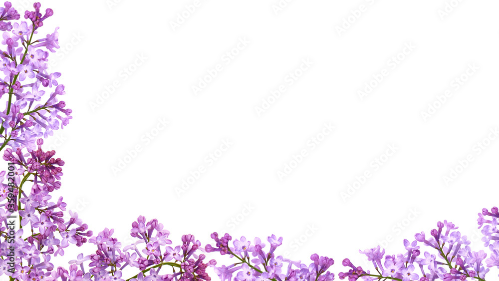 Purple lilac flowers frame isolated on white Purple lilac flowers frame isolated on white