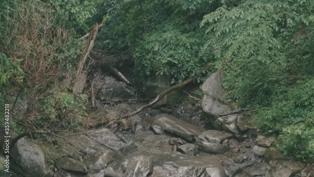 Slow Motion Rain Falls on Natural Tree Lined Stones in Beautiful Wooded Jungle, Daytime Rain in Lush Travel Adventure Destination Slow Motion Rain Falls on Natural Tree Lined Stones in Beautiful Wooded Jungle, Daytime Rain in Lush Travel Adventure Destination