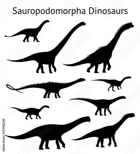 Silhouettes of sauropodomorpha dinosaurs. Set. Side view. Monochrome vector illustration of black silhouettes of dinosaurs isolated on white background. Sauropoda. Proportional dimensions.