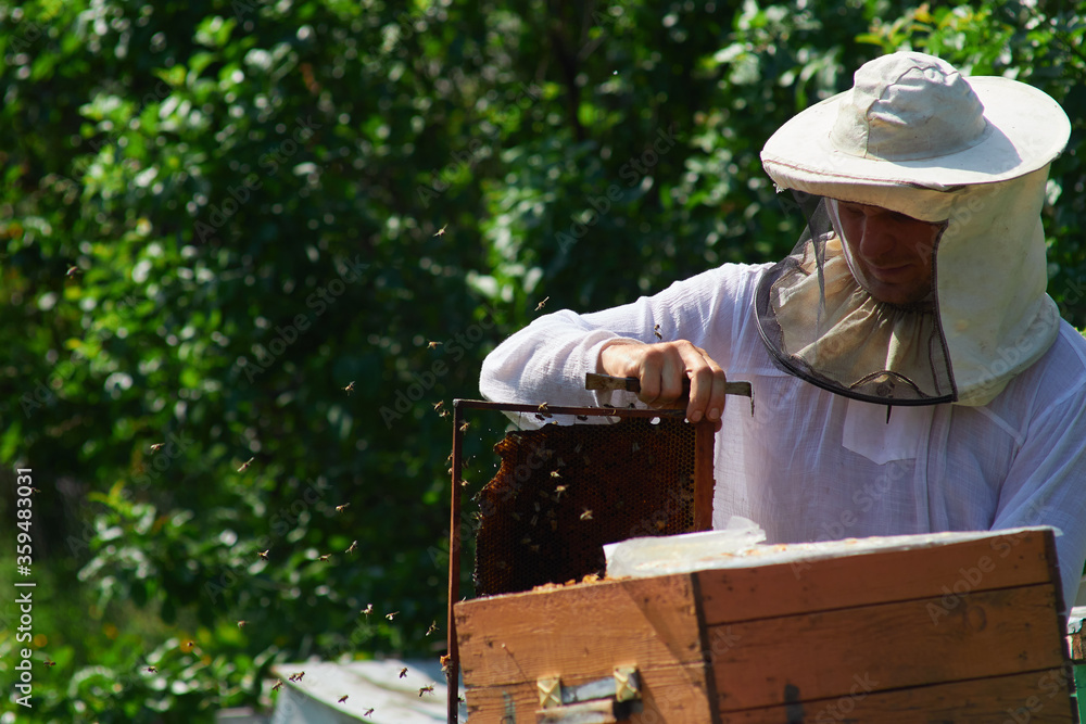 the beekeeper checks the hives the beekeeper checks the hives