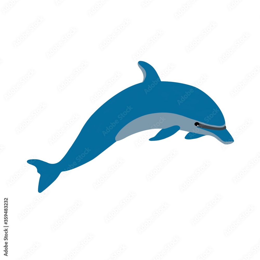 Obraz premium blue dolphin