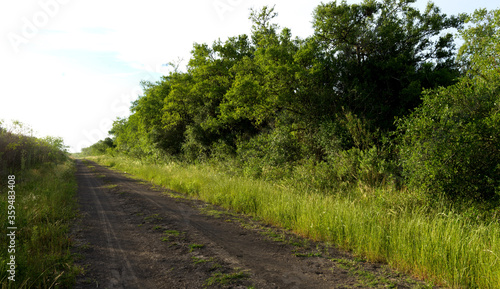 rural dirt road in Argentine countryside