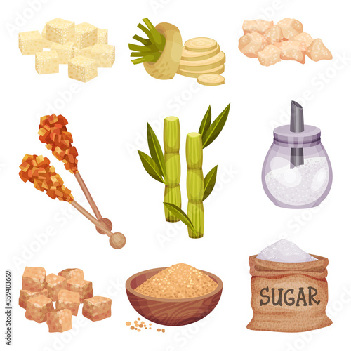 Piles of White and Brown Sugar Cubes with Sugar Beet and Sugarcane Plant Vector Set