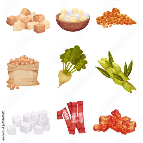 Piles of White and Brown Sugar Cubes with Sugar Beet and Sugarcane Plant Vector Set