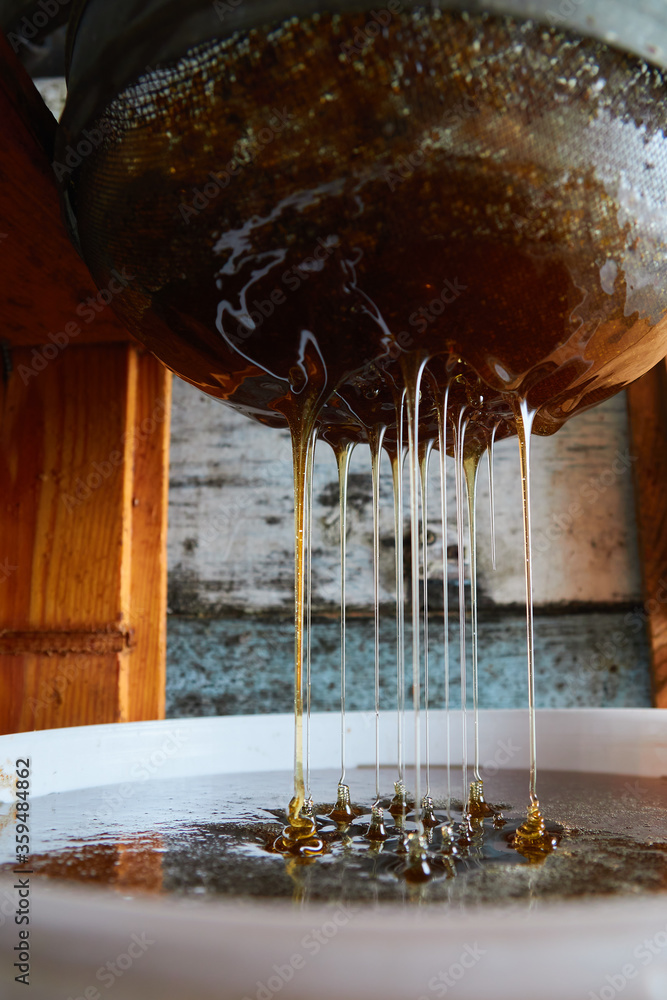Fotografie pumping out honey in the apiary