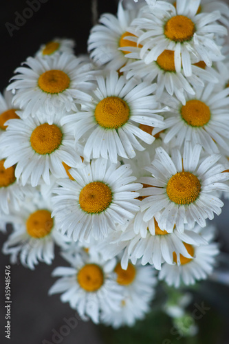 beautiful bouquet of daisies