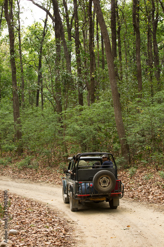 Tourists on a Safari jeep enjoying game drive in the dense forest of sal in Dhikala zone, Jim Corbett, Uttrakhand, India
