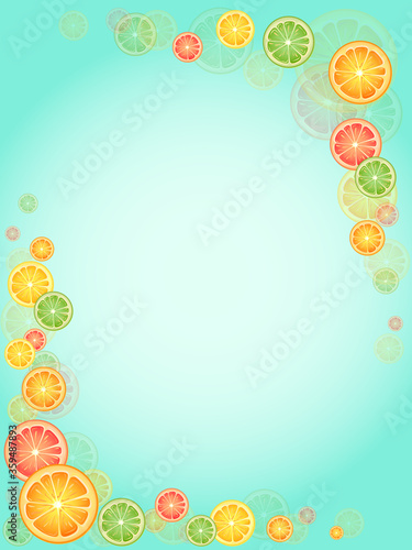 citrus fruit frame