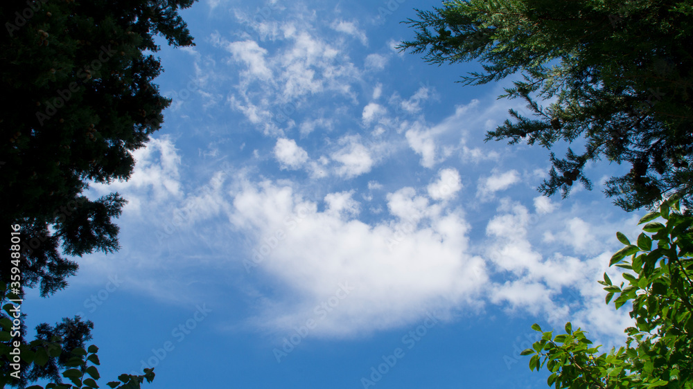 Cielo e nuvole in una bella giornata d'estate Cielo e nuvole in una bella giornata d'estate