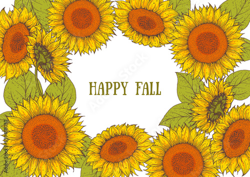 Sunflower frame. Sunflower hand drawn collection. Colorful illustration. Isolated collection.