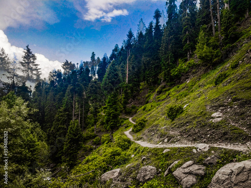 mountain road in the mountains