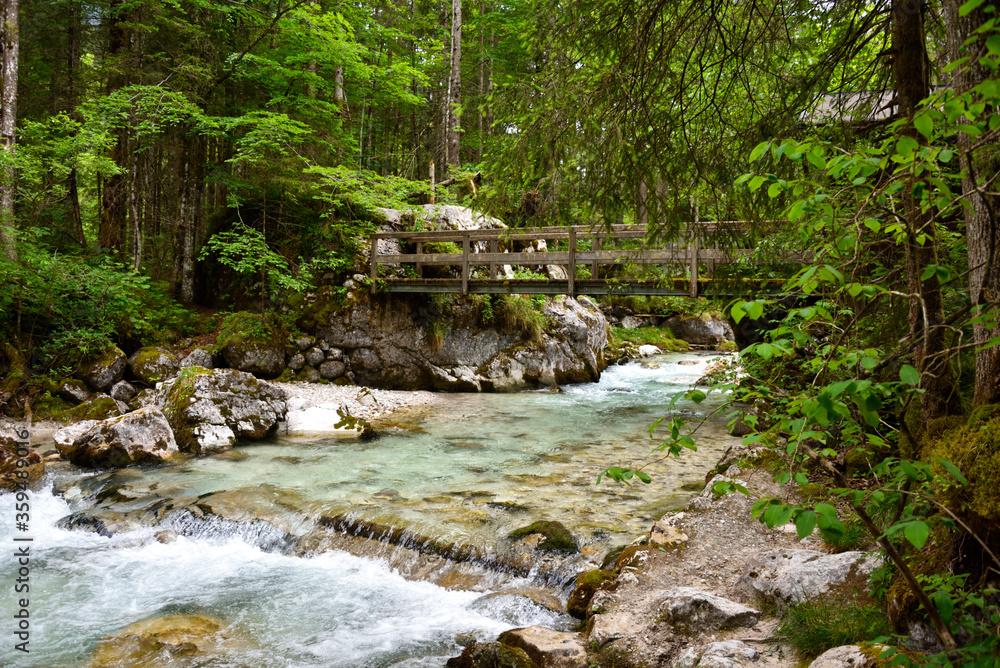 Obraz premium Bergbach Zauberwald