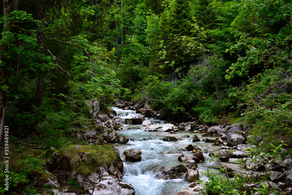 Obraz premium Bergbach Zauberwald