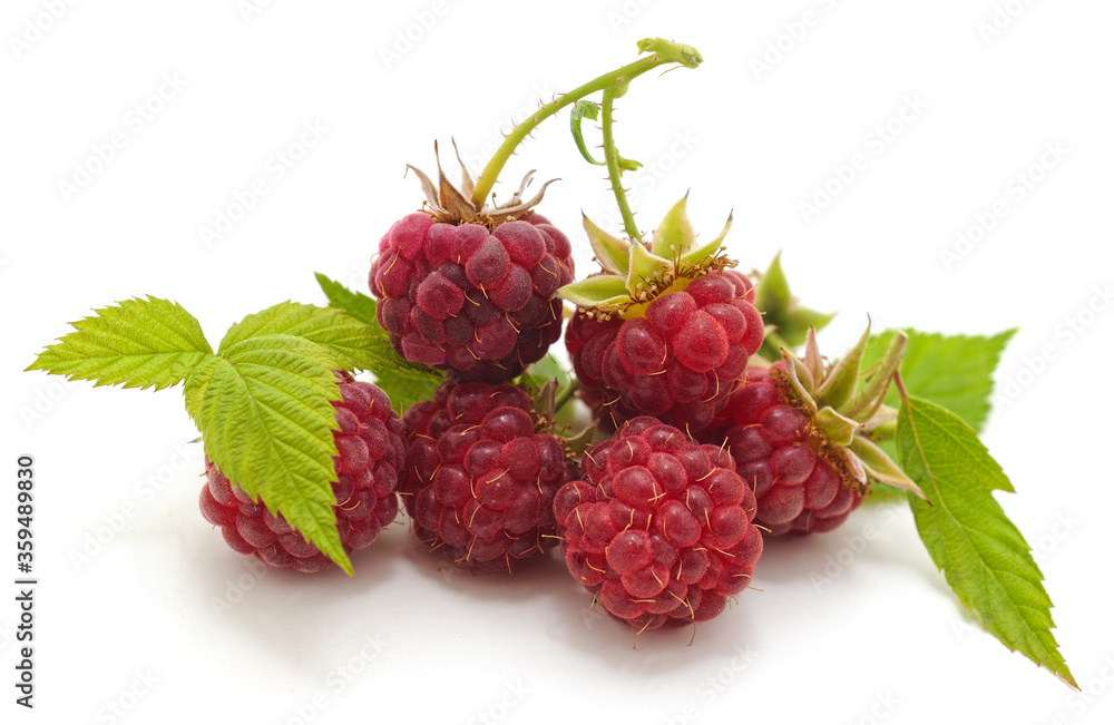 Raspberry with leaves. Raspberry with leaves.