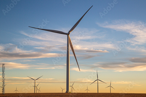 wind turbines farm
