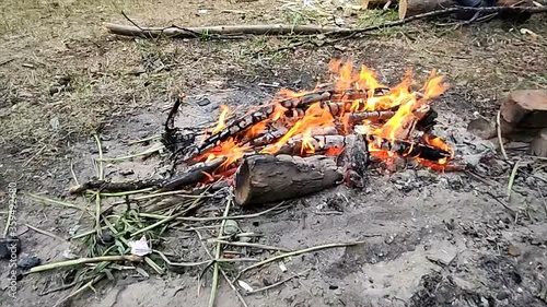 Fire in the wood. outdoor landscape. slow motion photo