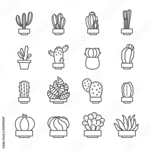 Cactus icon set , 16 Line of cactus icon set 2