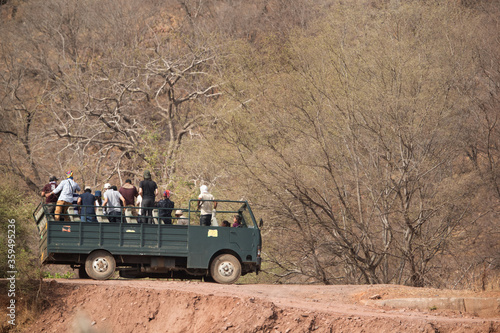 Tourist on canter trying to locate a tiger down the river at Ranthambore National Park  Sawai Madhopur  India 
