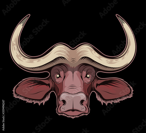 Vector illustration of a African buffalo. Bull for tattoo or t-shirt print. Buffalo illustration for a sport team. Vector character.Sketch for mascot, logo or symbol. African bull on black background