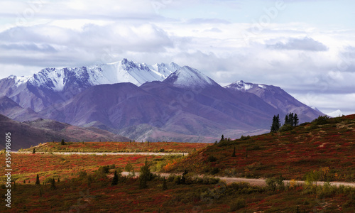 A road winds through the Alaskan Tundra with snow covered mountains in the back of the landscape