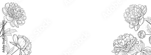 Botanical elements design template. Panoramic simple design with frame flowers. Herbal vector frame