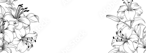 Botanical elements design template. Panoramic simple design with frame flowers. Herbal vector frame