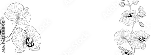 Botanical elements design template. Panoramic simple design with frame flowers. Herbal vector frame