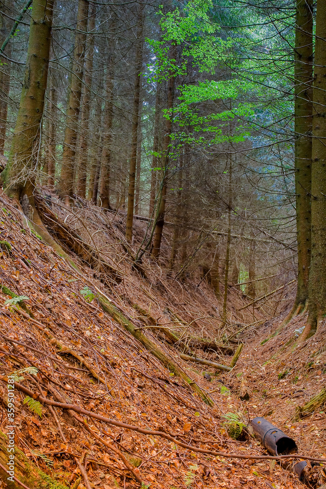 Obraz premium Hohlweg