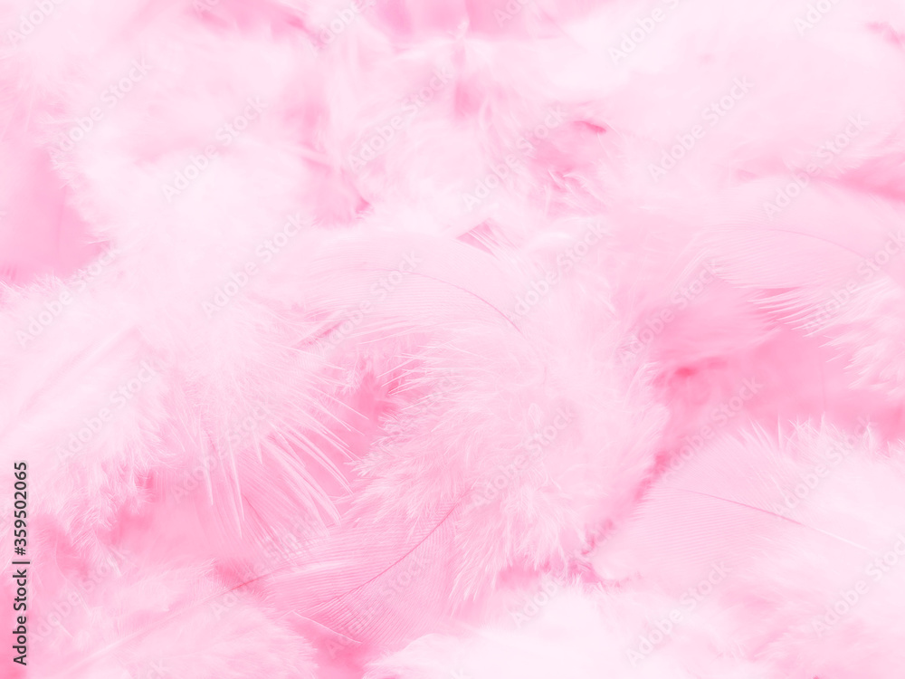 Beautiful abstract white and pink feathers on white background and soft white feather texture on pink pattern and pink background, feather background, pink banners