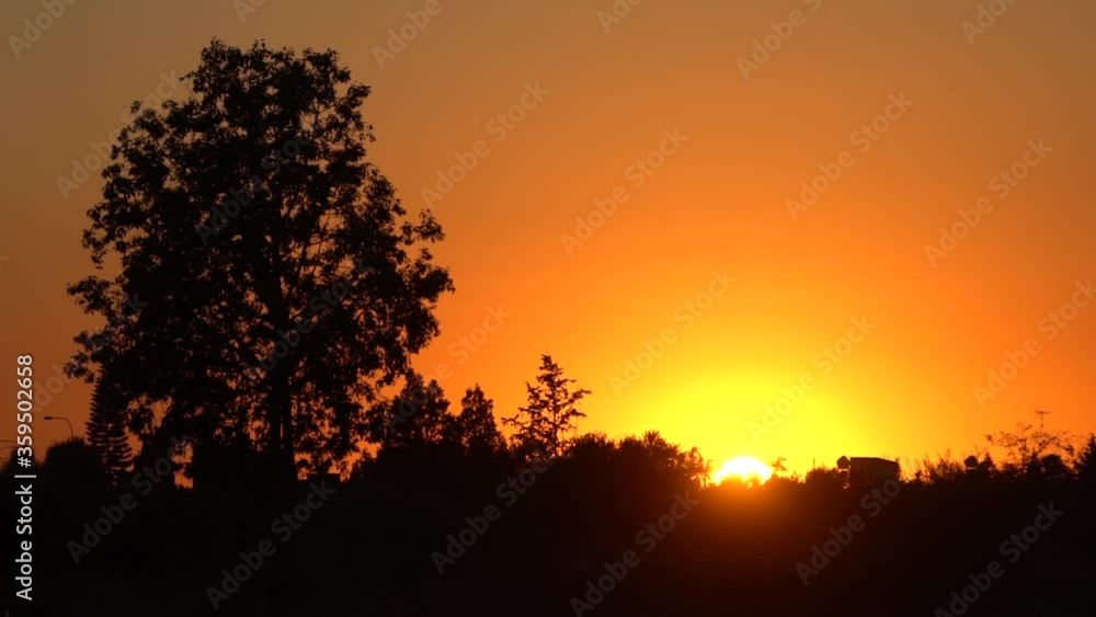 Sunset in golden sky with silhouettes of trees in foreground Sunset in golden sky with silhouettes of trees in foreground