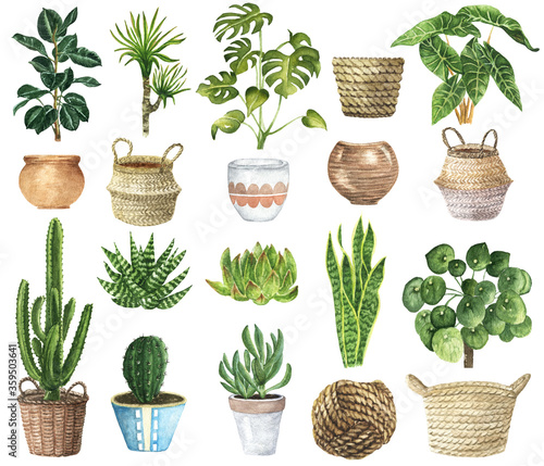 Watercolor House Plants Clipart. Indoor Plants  Elements. Monstera, Cactus Illustration. Boho Home Decor Clipart. Home green garden. Plants in pots.