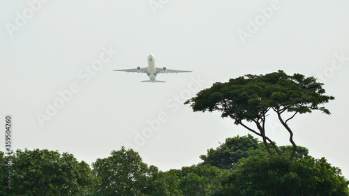 Take-off aircraft on the background of trees in the Indonesian village.