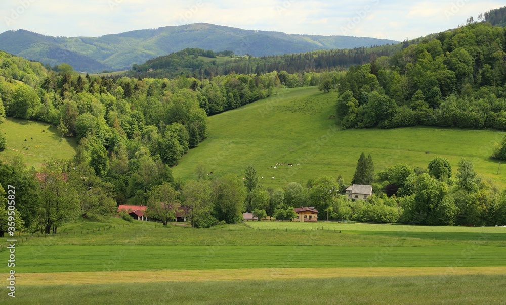 Rural landscape. Rural landscape.